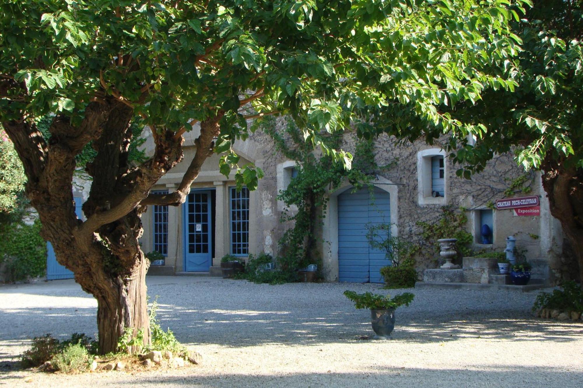 Chateau Pech-Celeyran Salles-dʼAude Exterior foto