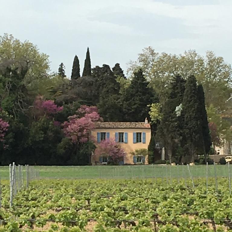 Chateau Pech-Celeyran Salles-dʼAude Exterior foto